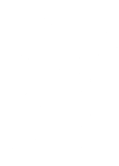 Emblema de la Cofradía: San Abdón con la palma y San Senén con el racimo de uvas, junto a dos leones, bajo un arco con la inscripción «S.S. Abdón y Senén · Patronos de Sagunto»